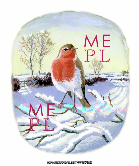 : Robin on a snow-covered bough : Robin on a snow-covered bough