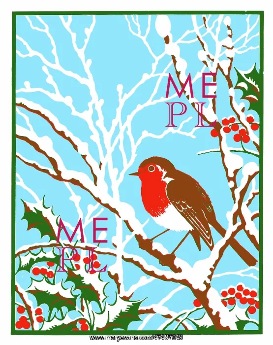 : Robin on snow-covered boughs with holly : Robin on snow-covered boughs with holly