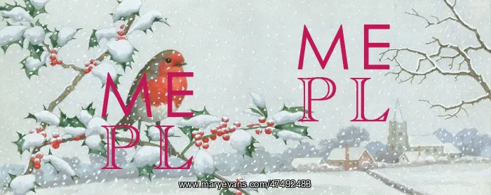  : Robin on a Snow-covered Holly Branch