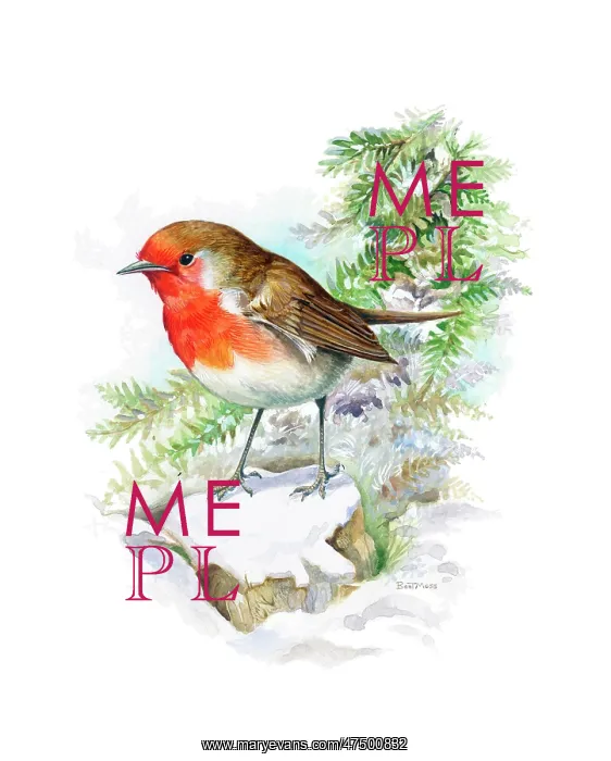  : Robin on a snow-covered tree stump