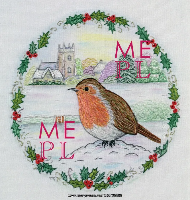 : Robin in the Snow (embroidery) : Robin in the Snow (embroidery)