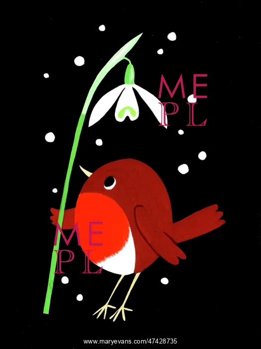  : Robin and Snowdrop