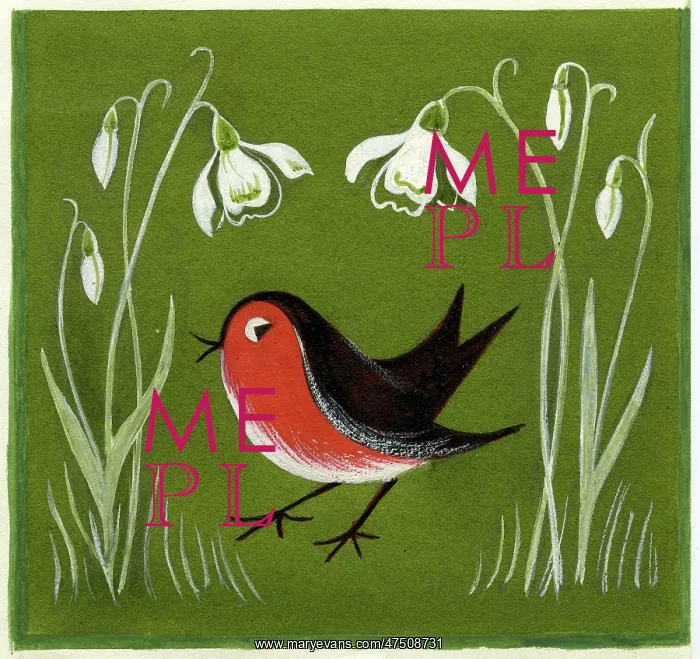  : Robin and snowdrops