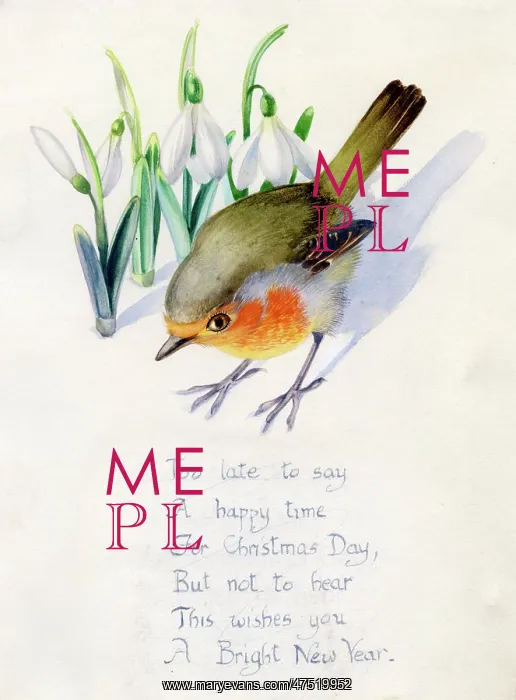  : Robin with Snowdrops