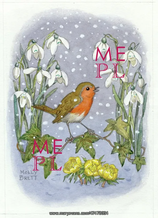 : Robin with snowdrops, ivy and aconites : Robin with snowdrops, ivy and aconites