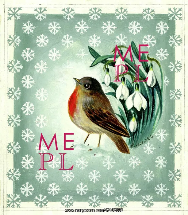 : Robin and snowdrops with snowflakes : Robin and snowdrops with snowflakes