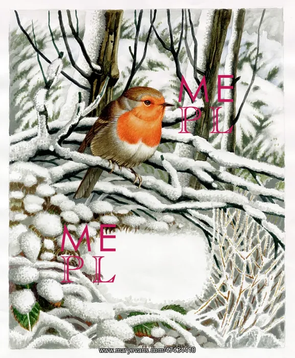  : Robin On A Snowy Branch