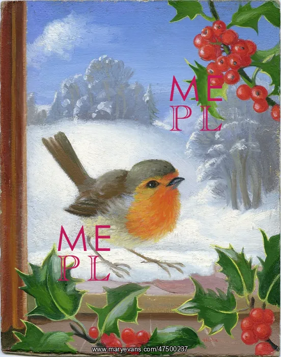 : Robin on a snowy window sill : Robin on a snowy window sill