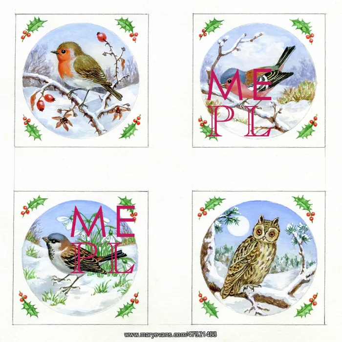  : Robin, Sparrow, Chaffinch and Owl in the snow