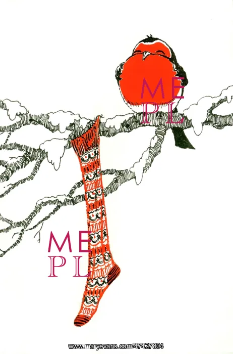  : Robin with stocking