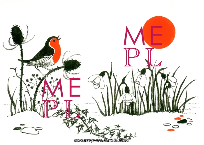  : Robin on Teazle