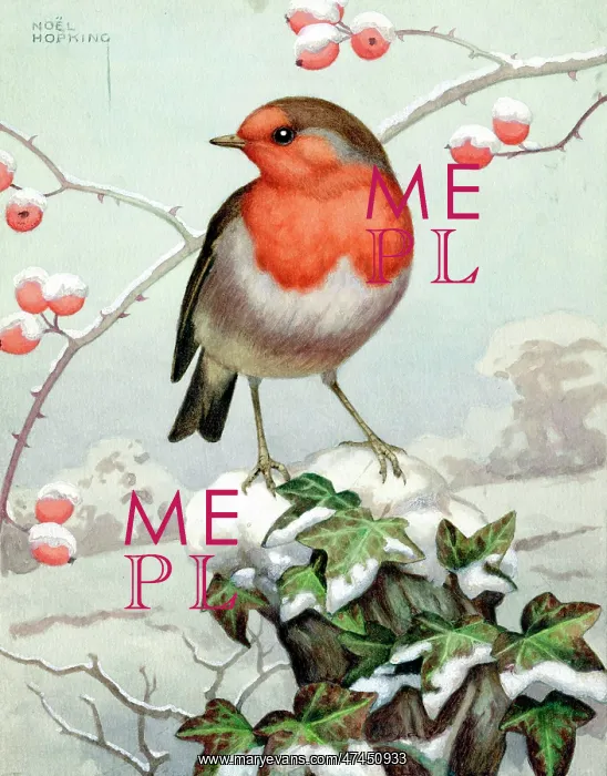  : Robin on Tree Stump with Ivy