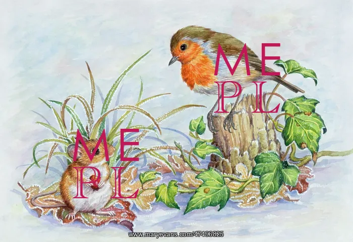: Robin on a tree stump with woodmouse : Robin on a tree stump with woodmouse