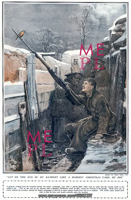 : Robin in the trenches, WW1 by Philip Dadd : Robin in the trenches, WW1 by Philip Dadd