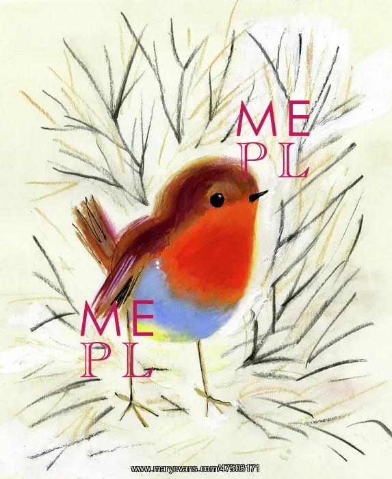 : Robin with twigs and branches