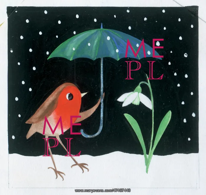  : Robin with Umbrella and Snowdrop
