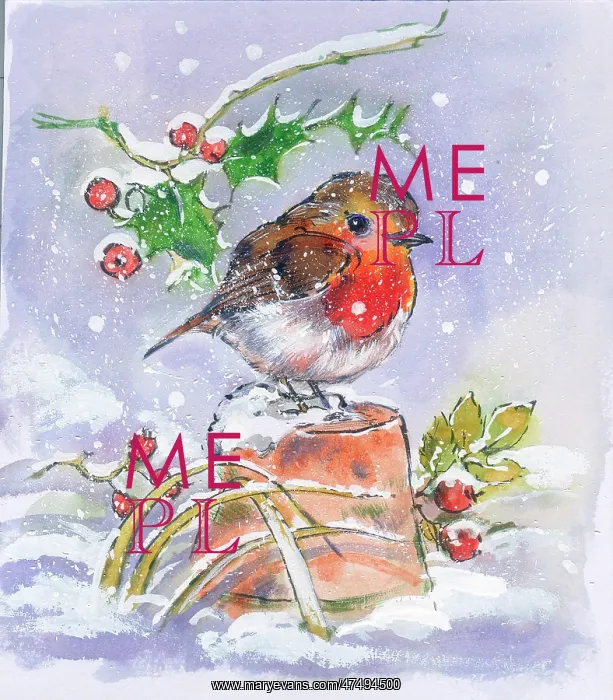 : Robin on an upturned flowerpot in the snow : Robin on an upturned flowerpot in the snow