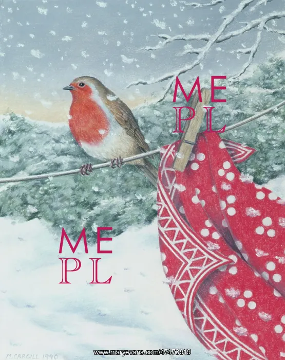 : Robin on a washing line : Robin on a washing line