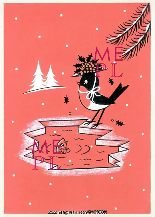  : Robin wearing hat on frozen pond with fish