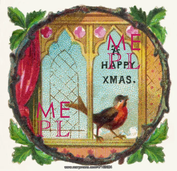  : Robin on Windowsill
