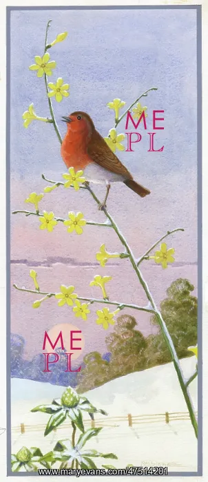  : Robin on Winter Jessamine