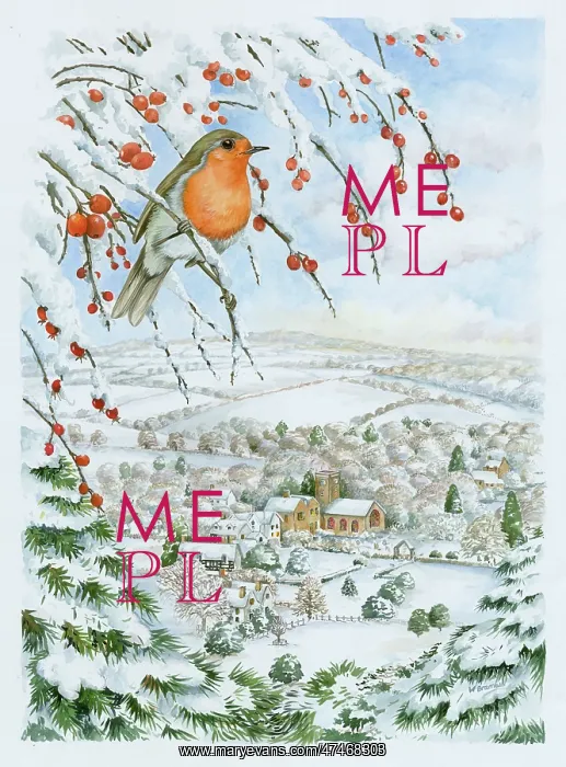  : Robin in Winter Landscape