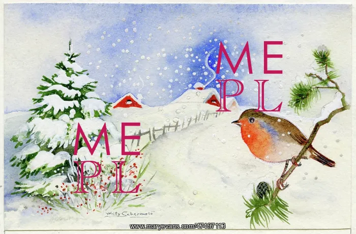 : Robin in a Winter Landscape : Robin in a Winter Landscape