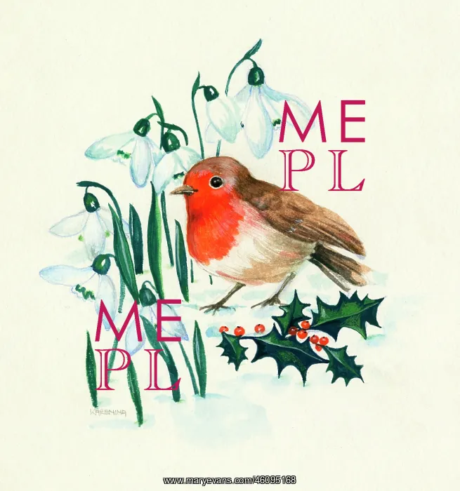 : A Robin in a Wintry setting with Snowdrops and Holly : A Robin in a Wintry setting with Snowdrops and Holly