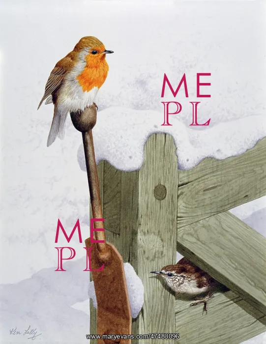  : Robin and Wren on a Gate ' in snow