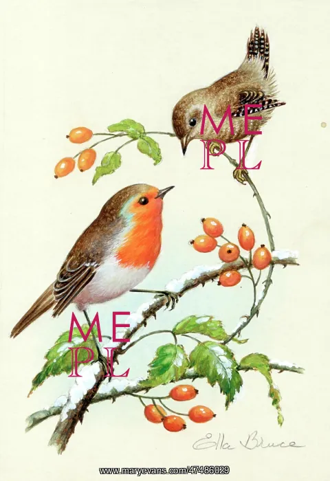  : Robin and wren on rosehips