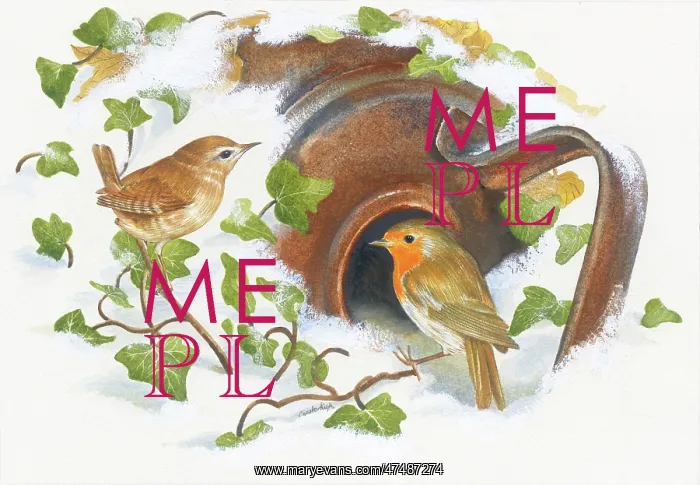 : Robin and Wren with rusty kettle burried in snow : Robin and Wren with rusty kettle burried in snow