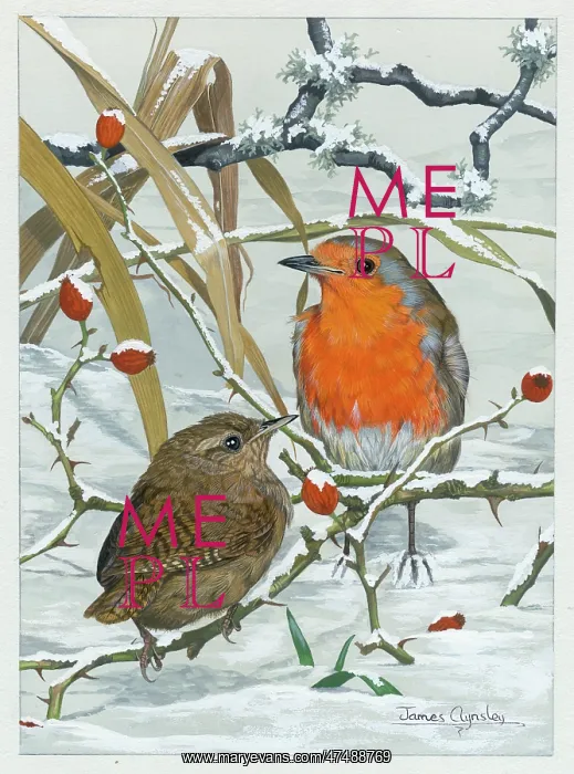  : Robin and Wren in the snow