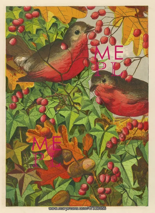  : ROBINS IN 1869