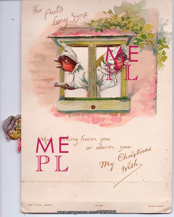 : Two robins alarmed by a cat on a Christmas card : Two robins alarmed by a cat on a Christmas card