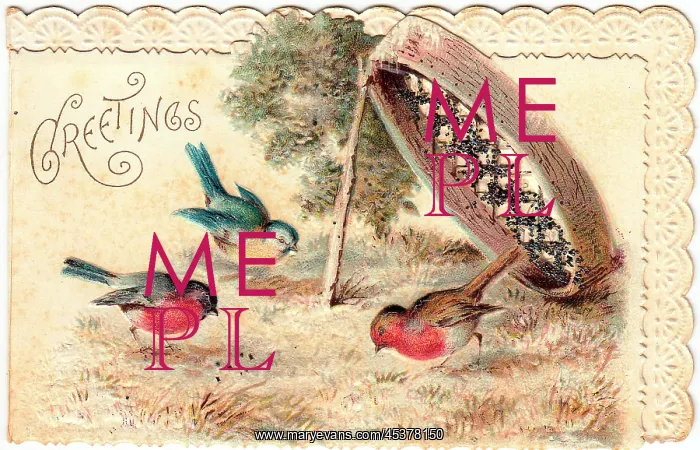 : Two robins and a blue tit on a greetings card : Two robins and a blue tit on a greetings card