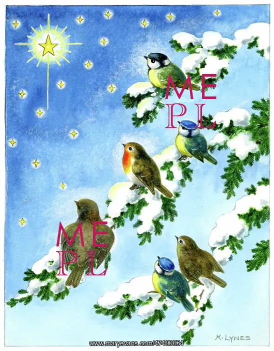 : Robins and blue tits on snow-covered branches : Robins and blue tits on snow-covered branches