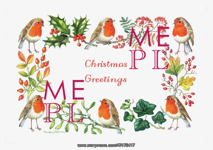 : Robins Border ? with holly, mistletoe etc : Robins Border ? with holly, mistletoe etc