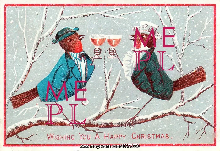  : Two robins with drinks on a Christmas card