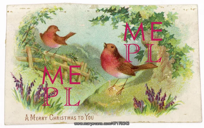  : Robins in Fields