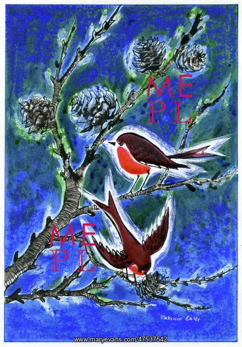  : Robins and Fir Cones