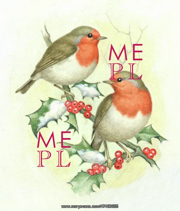  : Two robins on a holly bough with snow