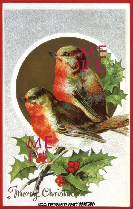 : Robins and Holly - Christmas Card : Robins and Holly - Christmas Card