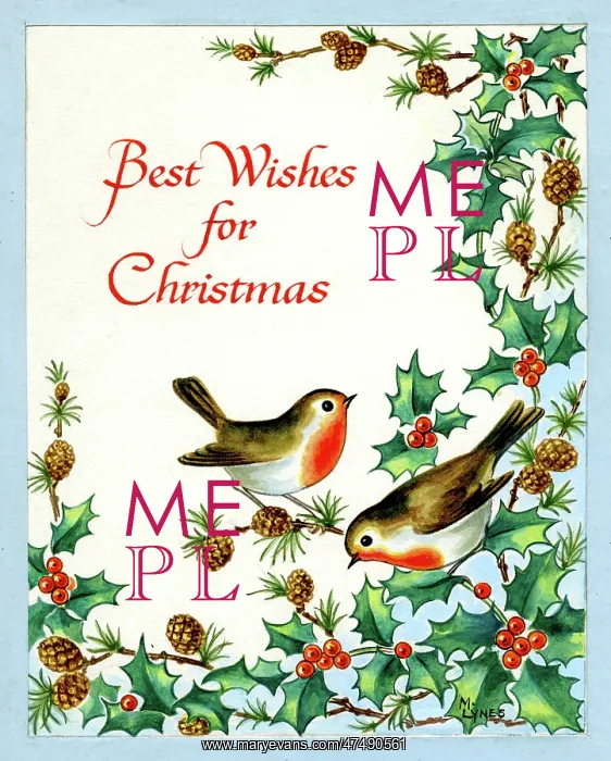 : Two robins with holly and fir cones : Two robins with holly and fir cones