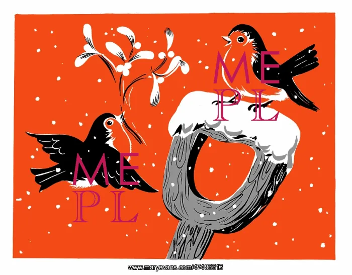  : Two robins with mistletoe