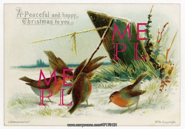  : Robins Near Trap