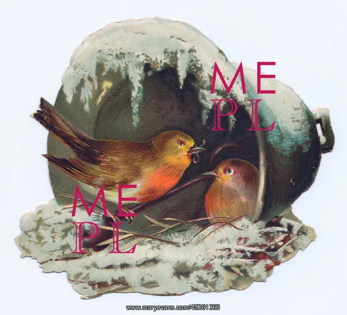 : Robins nesting on a bell-shaped Christmas card : Robins nesting on a bell-shaped Christmas card