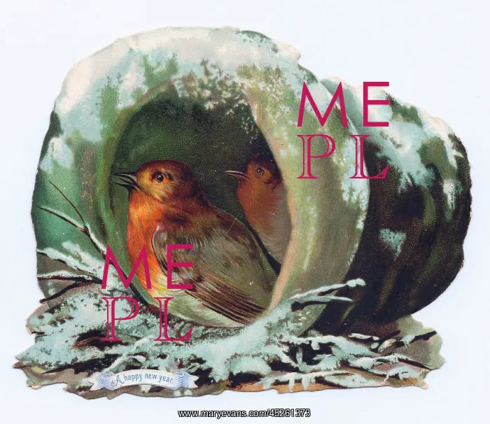  : Robins nesting on a hat-shaped New Year card