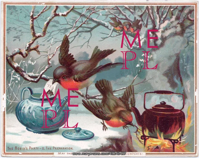 : Robins on a New Year card : Robins on a New Year card