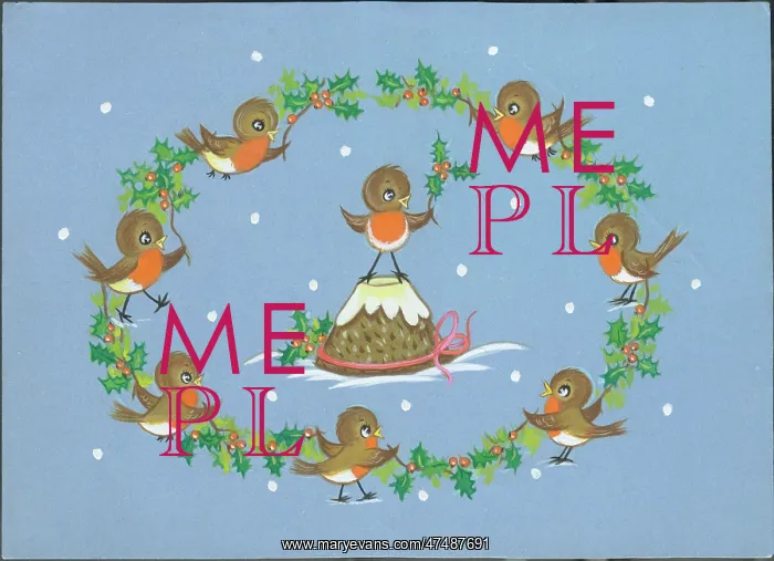  : Robins with plum pudding and holly