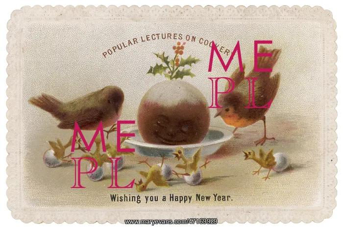  : Robins and Pudding